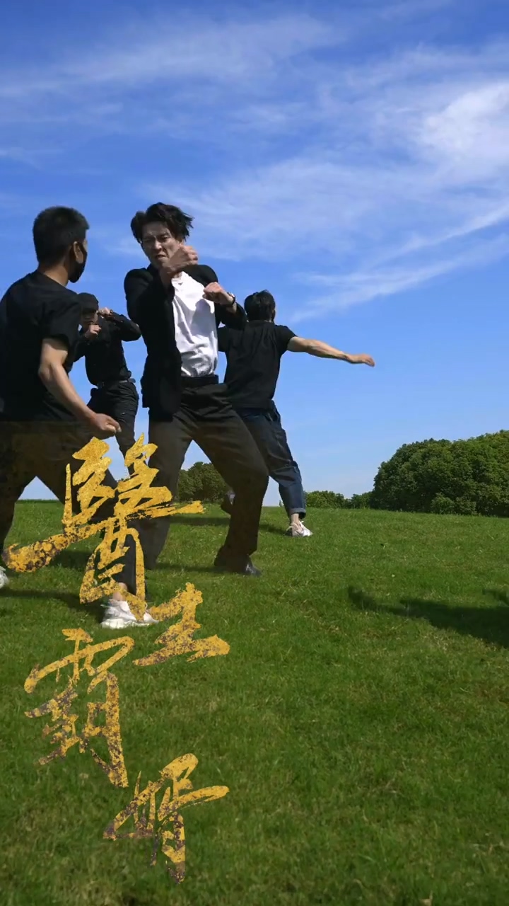 醫(yī)王霸婿(全集)
