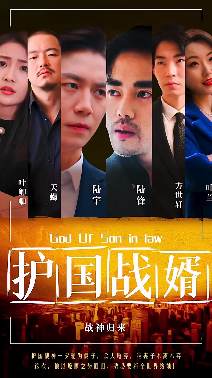 護(hù)國戰(zhàn)婿(全集)
