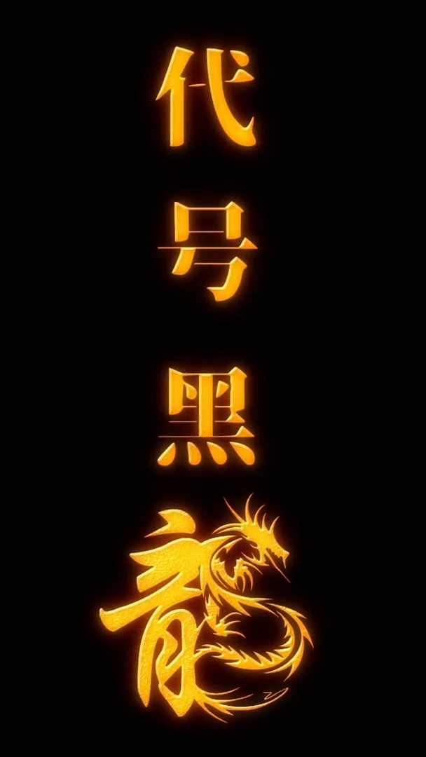 代號(hào)黑龍(全集)