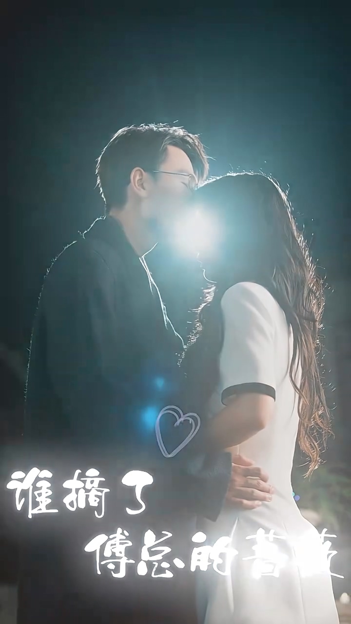 誰摘了傅總的薔薇第48集