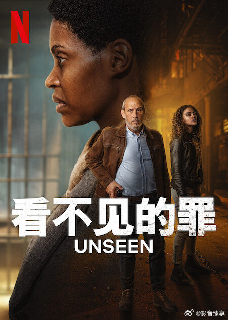看不見的罪 第二季(全集)