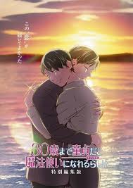 到了30歲還是處男，似乎會(huì)變成魔法師 特別編集版(全集)