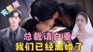 總裁請自重我們已經(jīng)離婚了(全集)