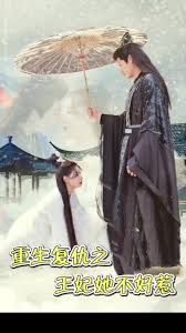 重生復(fù)仇之王妃她不好惹(全集)