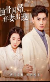 蝕骨囚婚，棄妻出逃(全集)