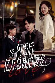 閃婚后，億萬(wàn)總裁掐腰寵(全集)