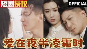 愛在夜半凌霜時(shí)(全集)