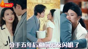 分手五年后，和前男友閃婚了(全集)
