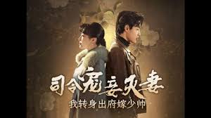 司令寵妾滅妻，我轉(zhuǎn)身出府嫁少帥(全集)