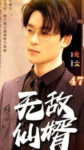無敵仙婿(全集)
