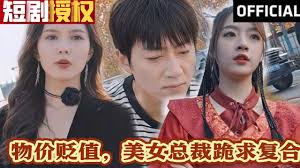 物價(jià)貶值，美女總裁跪求復(fù)合(全集)