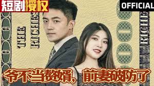 爺不當(dāng)贅婿，前妻破防了(全集)