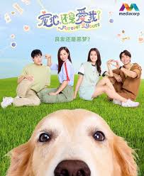 寵他，還是愛我(全集)