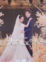 厲總的私寵小嬌妻(全集)