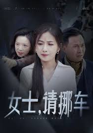 女士請挪車 善門難開(全集)