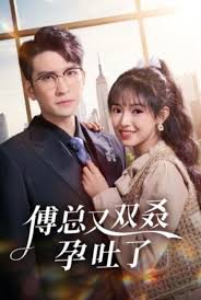 傅總又雙叒孕吐了(全集)