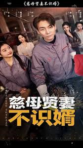慈母賢妻不識(shí)婿(全集)