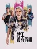 特工沒有假期(全集)