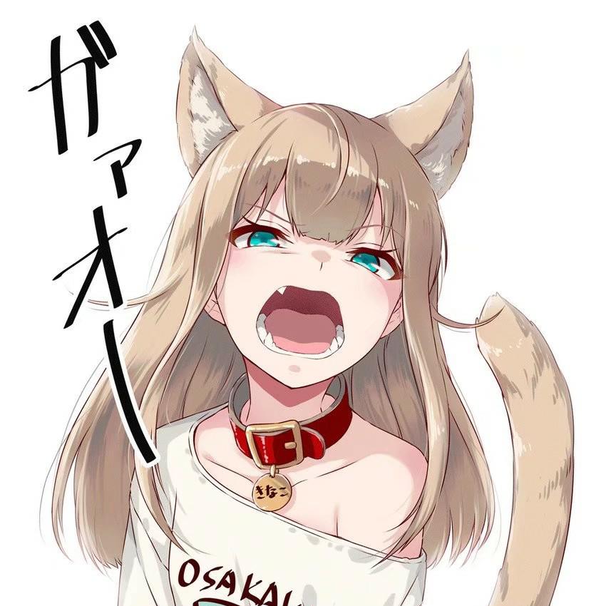 貓物語(yǔ)（白）(全集)