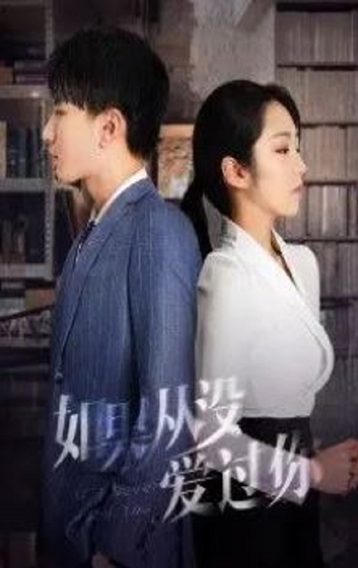 如果從沒(méi)愛(ài)過(guò)你(全集)