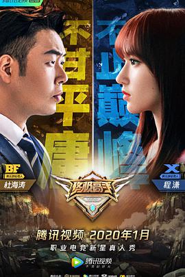 終極高手 第二季(全集)