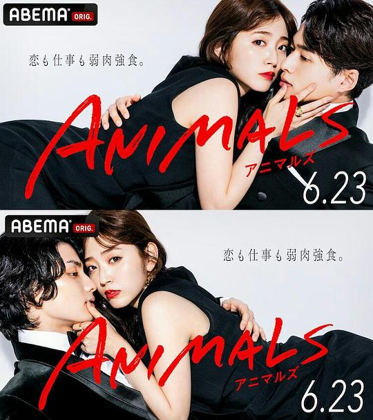 ANIMALS‐歸國篇(全集)