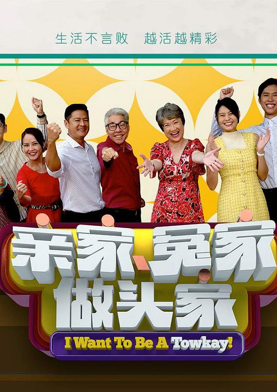 親家冤家做頭家(全集)
