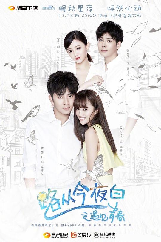 路從今夜白之遇見青春DVD版(全集)