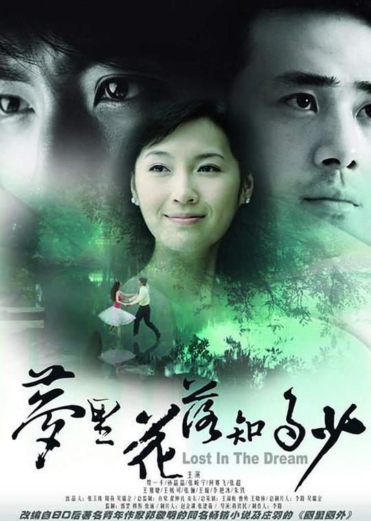 夢(mèng)里花落知多少(全集)