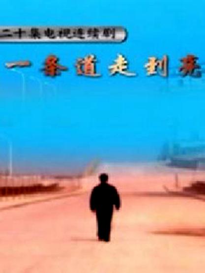 一條道走到亮(全集)