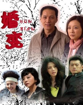 婚變(全集)