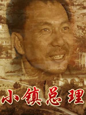 小鎮(zhèn)總理(全集)