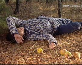 藍狐之戀(全集)