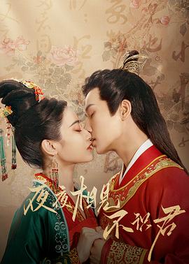 夜夜相見(jiàn)不識(shí)君第17集