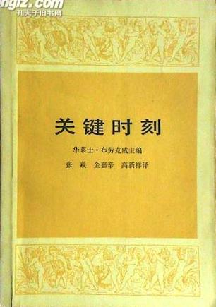 關(guān)鍵時(shí)刻2002第53集