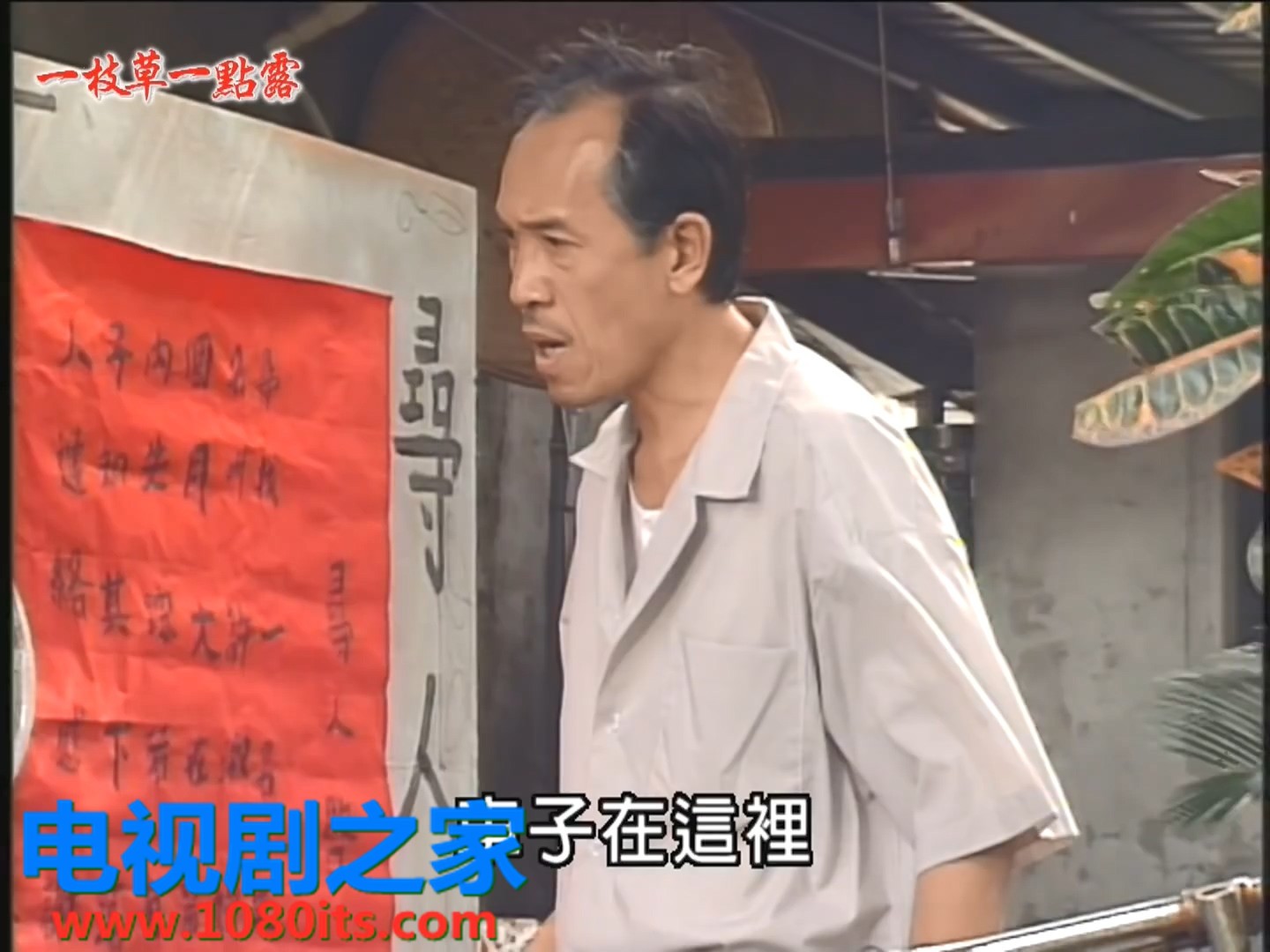 一枝草一點(diǎn)露(全集)