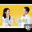 愛(ài)上ㄆㄤˋ滋味(全集)