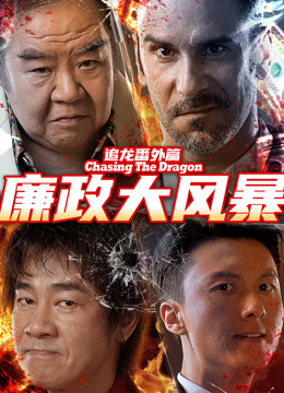 追龍番外篇之廉政大風(fēng)暴(全集)