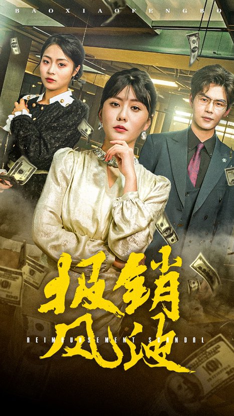 報(bào)銷風(fēng)波(全集)